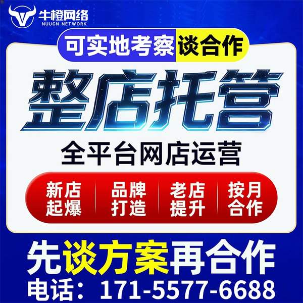 玉溪电商代运营
