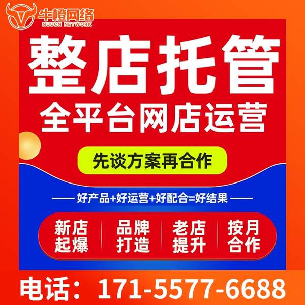 玉溪电商代运营