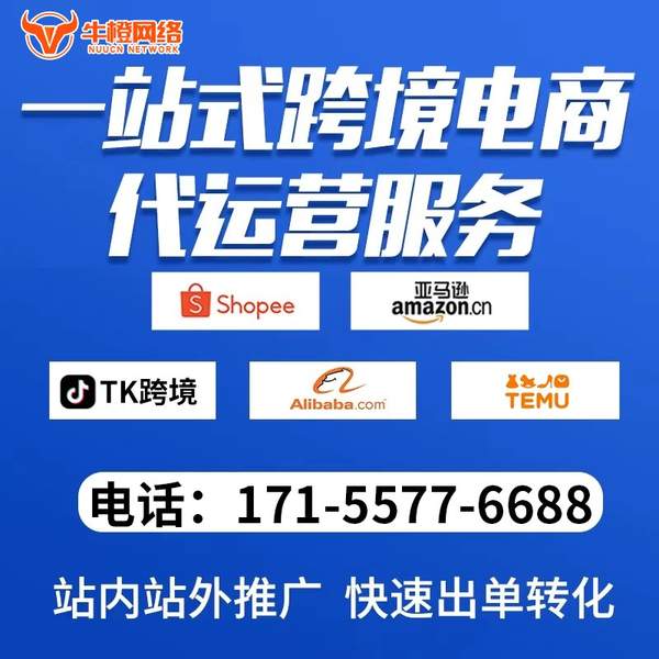 玉溪电商代运营