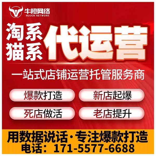 玉溪电商代运营
